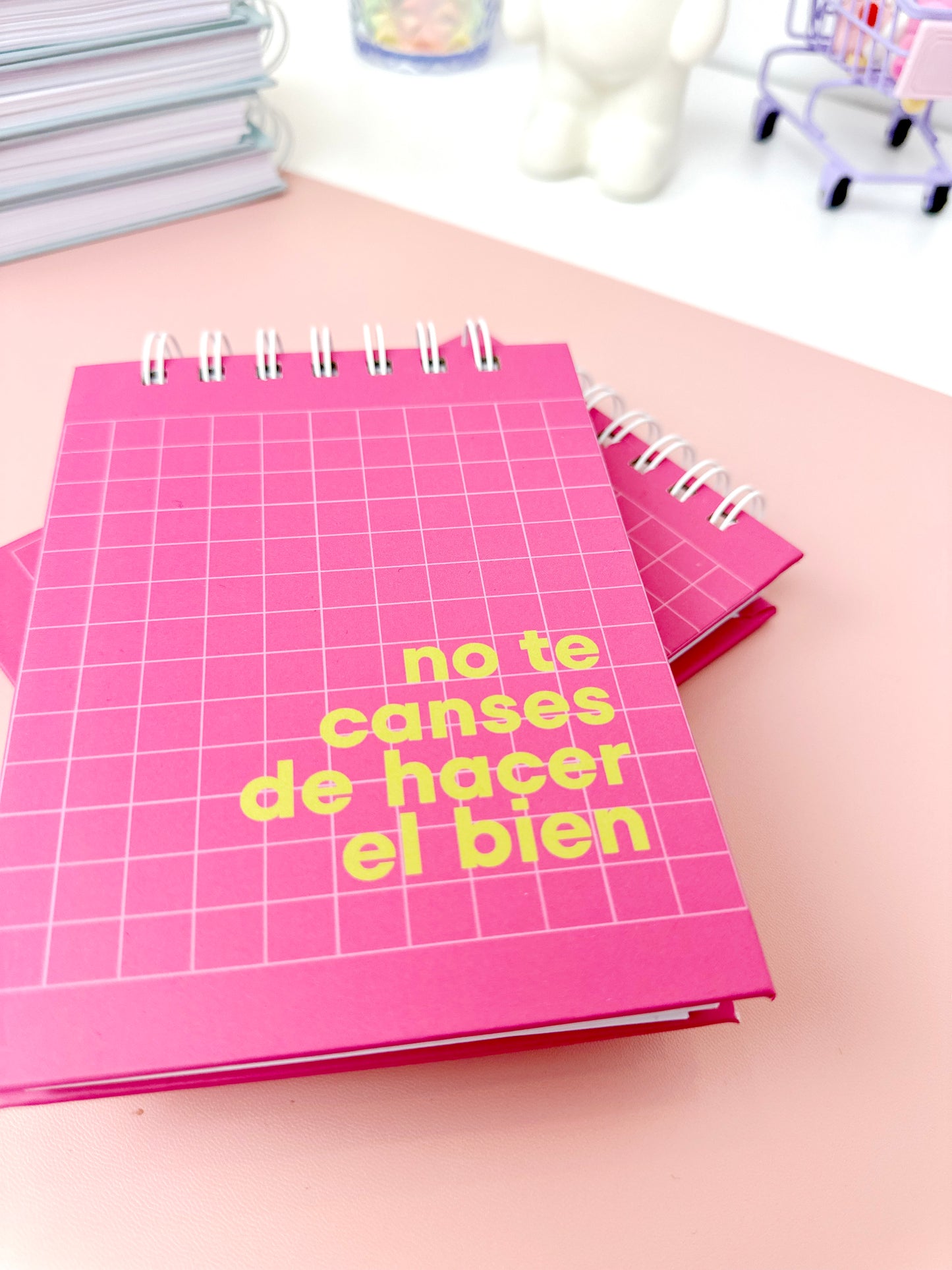 Libreta “no te canses”